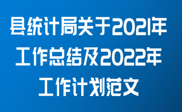 县统计局关于2021年工作总结及2022年工作计划范文